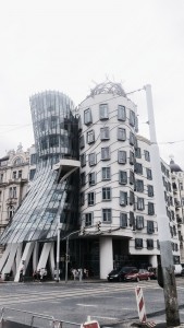 gehry4